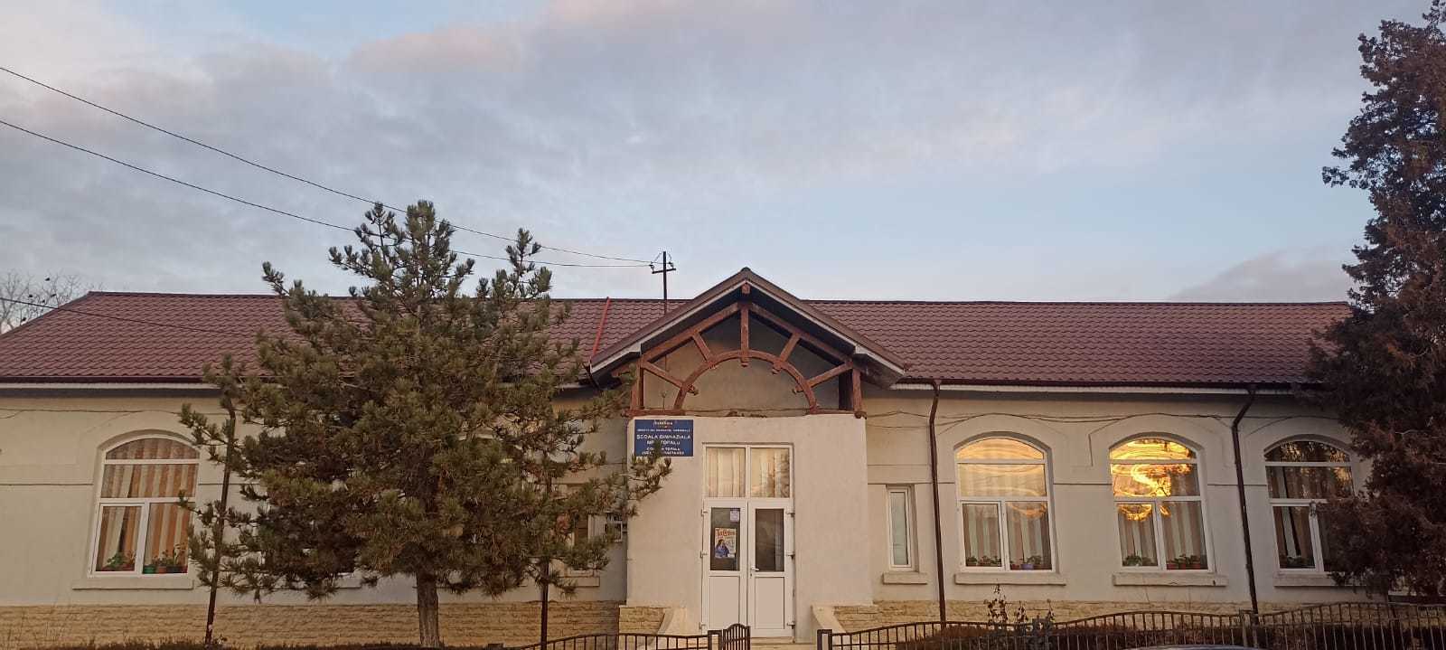 Imagine frontala - text